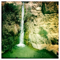 Ein Gedi Waterfalls